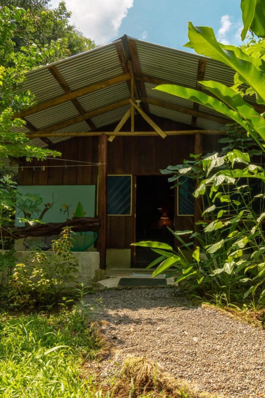 Los Paniquines Ecolodge Drake Bay Luaran gambar