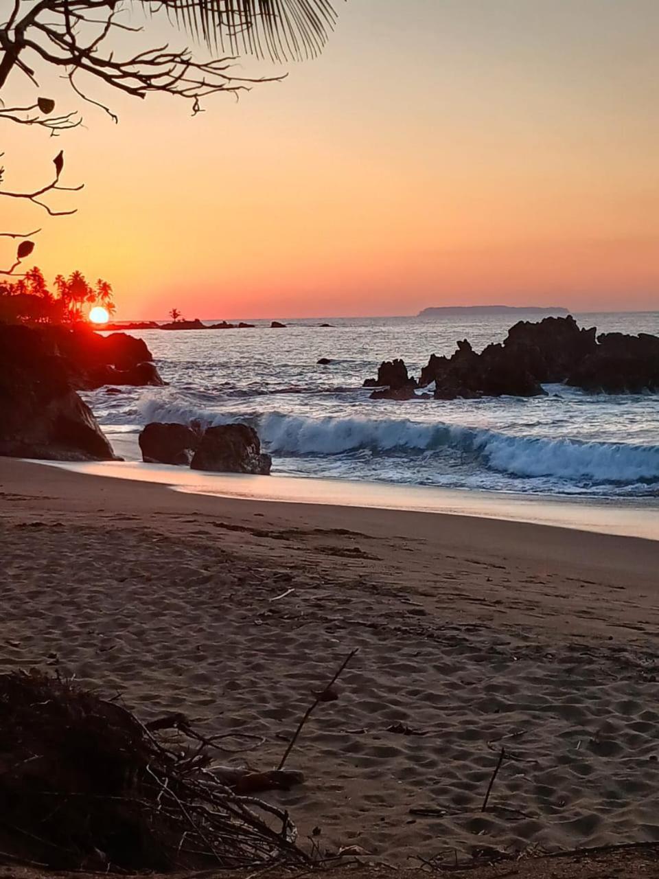 Los Paniquines Ecolodge Drake Bay Luaran gambar